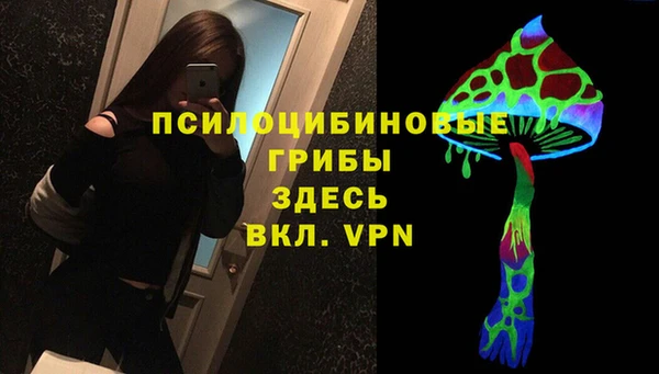 мяу мяу мука Армянск